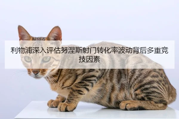 利物浦深入评估努涅斯射门转化率波动背后多重竞技因素